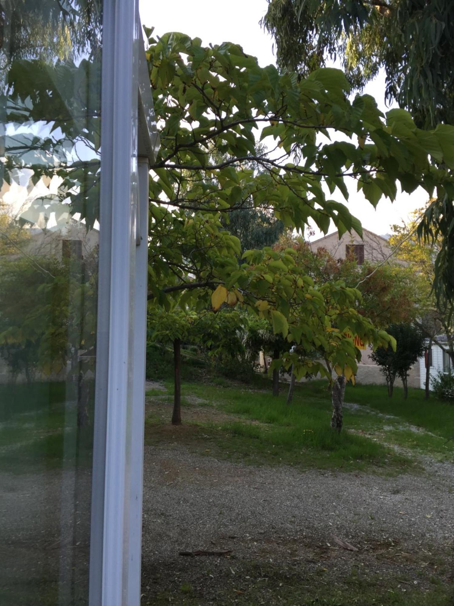 Camping Les Orangers San-Martino-di-Lota Habitación foto
